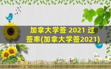 加拿大学签 2021 过签率(加拿大学签2021)